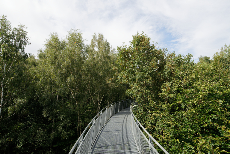 Promenoir des Cimes, Bon Secours, Arcadus